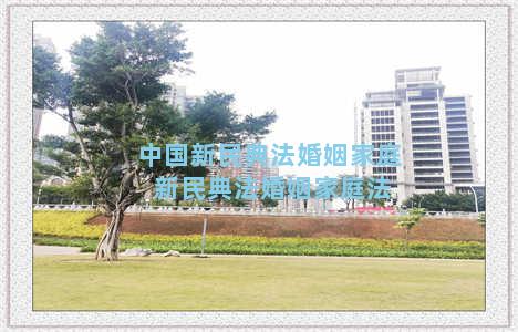 中国新民典法婚姻家庭 新民典法婚姻家庭法